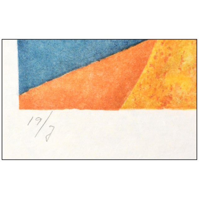 1968 Allegory the Chevaliers Dream of Cecile Surreal Orange Lithograph Salvador Dalí For Sale In Minneapolis - Image 6 of 7