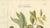 Myristica Aromatica, 1800s, Paper For Sale - Image 4 of 10