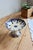 19th Century Ironstone Compote Dish with Rouen Pattern from Longchamp For Sale - Image 9 of 9