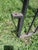 Black Late 18th Century Antique Wrought Iron Gate For Sale - Image 8 of 10