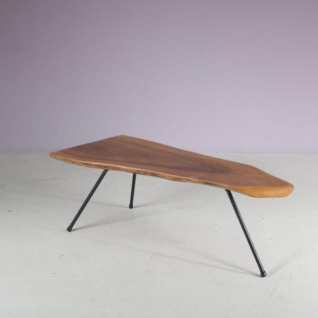 Tree Trunk Coffee Table in the Style of Aubock, Austria, 1950s For Sale - Image 10 of 11