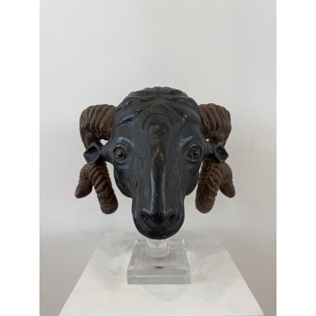 Northern European Artist, Ram's Head, 19th Century, Wood For Sale - Image 13 of 14