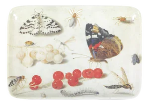 Specimen Butterfly Valet Tray