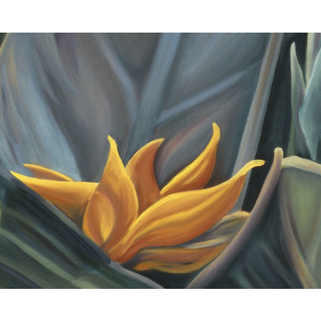 2000s "Bird of Paradise" Large Gallery Wrapped Oil Painting by Judith Moore For Sale - Image 10 of 10
