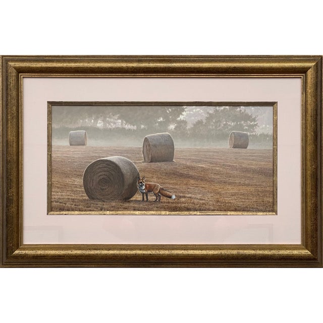 Fox amidst the Hay Bales on Misty Morning in a Field in the English Countryside 2014 For Sale