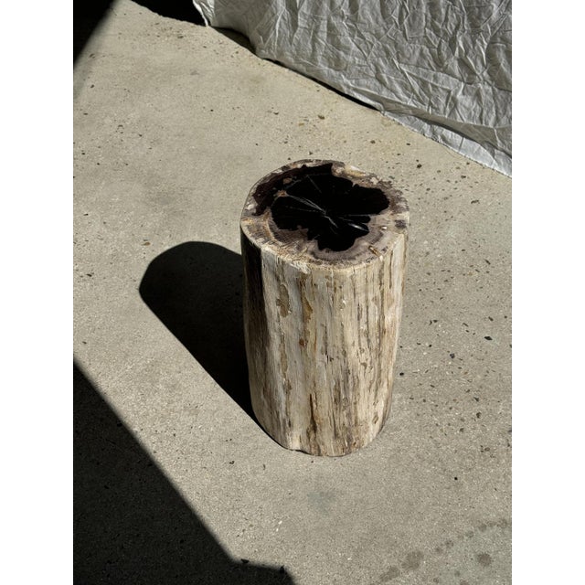 Large White Side Table in Petrified Wood For Sale - Image 10 of 18