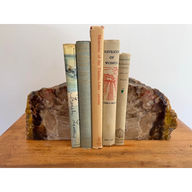 This stunning set of rare petrified wood bookends adds rich texture and eye-catching interest to your bookshelf or...