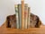 This stunning set of rare petrified wood bookends adds rich texture and eye-catching interest to your bookshelf or...