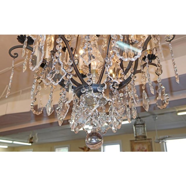 Schonbek Versailles 2782 16 Light Monumental Crystal Chandelier For Sale - Image 4 of 18