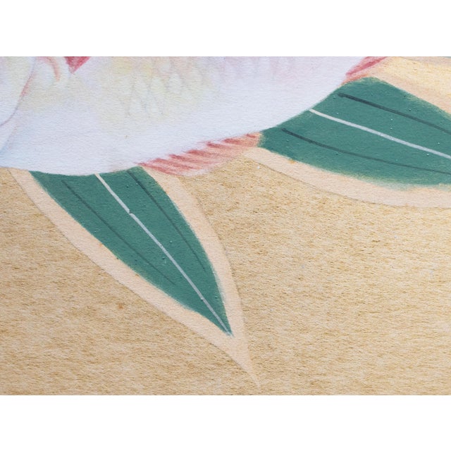 "Red Snapper", Heisei Era Japanese Watercolor Painting For Sale - Image 12 of 17
