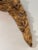 Early 19th Century French Carved and Gilded Architectural Fragment, 18th-19th C. For Sale - Image 5 of 6