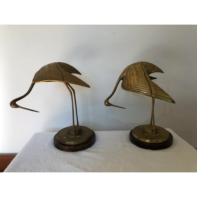 For sale is a pair of highly detailed black herons, also known as black egrets. They are well known for its habit of using...