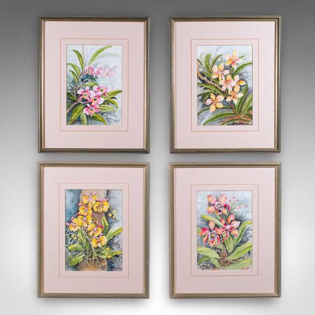 This is a set of 4 vintage botanical watercolour pictures. A Malaysian, framed art study of orchids, dating to the late...