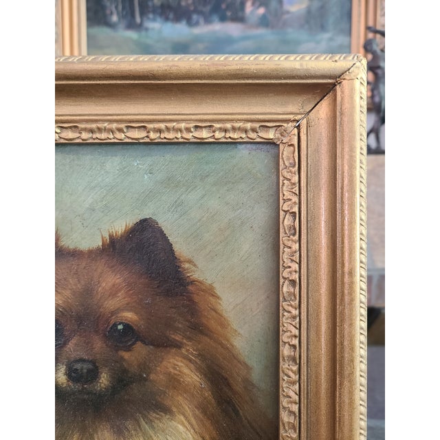 Brown Small Antique 19th Century Oil Painting Portrait of a Pomeranian Dog For Sale - Image 8 of 14