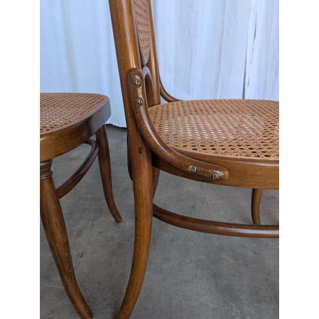 Mid-Century Modern Bentwood Cane Dining Chairs, 1970s, Set of 4 For Sale - Image 13 of 18