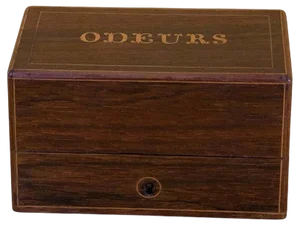 19th Century Louis-Philippe Ointment Box in Rosewood and Marquetry, 1840s