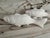 White Fish Ceramic Figurine , Pair For Sale - Image 4 of 7