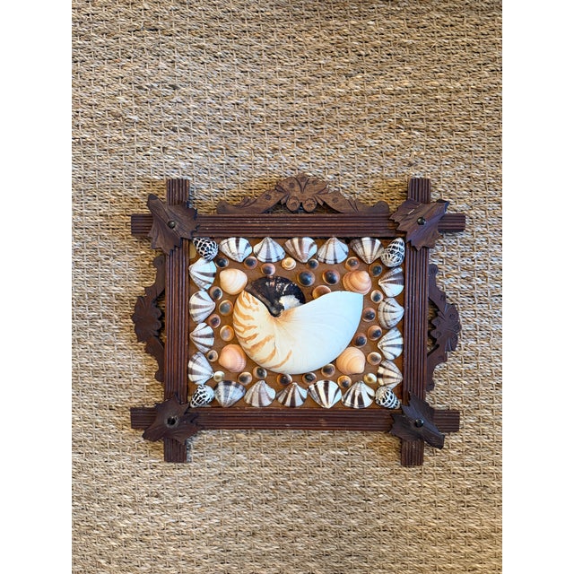 1920s Shell Art in Antique Frame For Sale - Image 5 of 6