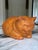 1990s Vintage Cheshire Cat Statue For Sale - Image 5 of 16