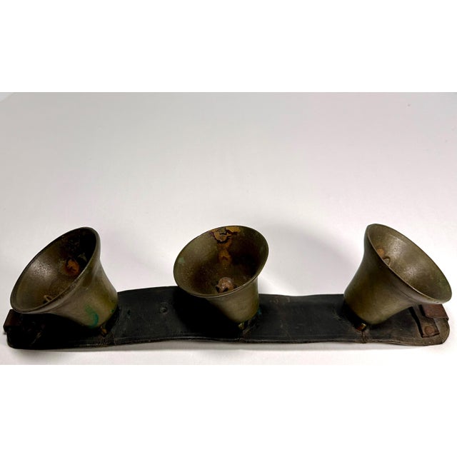 Brass Antique Horse Sleigh Bells: Leather Strap with Brass Bells For Sale - Image 8 of 10