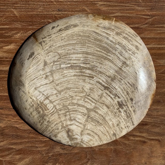 1980s Light Grey Petrified Wood Trinket Tray or Dish with Rings, 1980s For Sale - Image 5 of 9