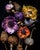Elegy in Bloom Botanical Art, Photograph by Michael Filonow For Sale