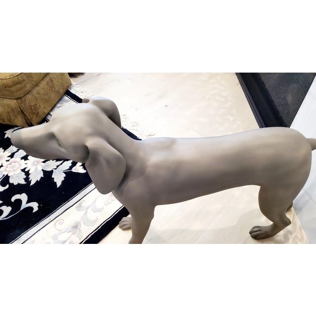Goldsmith Inc. Discontinued Fiberglass Weimaraner Dog Mannequin For Sale In Dallas - Image 6 of 6