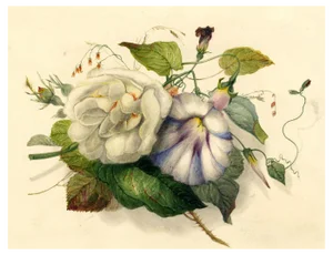 James Holland OWS, Rose & Bindweed Flowers, Mid-19th Century, Watercolour