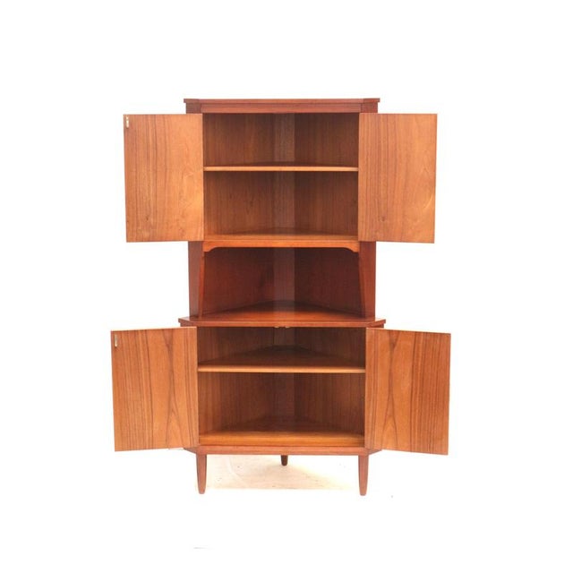 Brown Vintage Danish Corner Cabinet, 1960s For Sale - Image 8 of 9