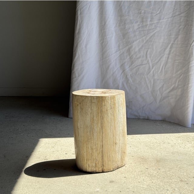 Beige Oval White Petrified Wood Side Table, 1980s For Sale - Image 8 of 18