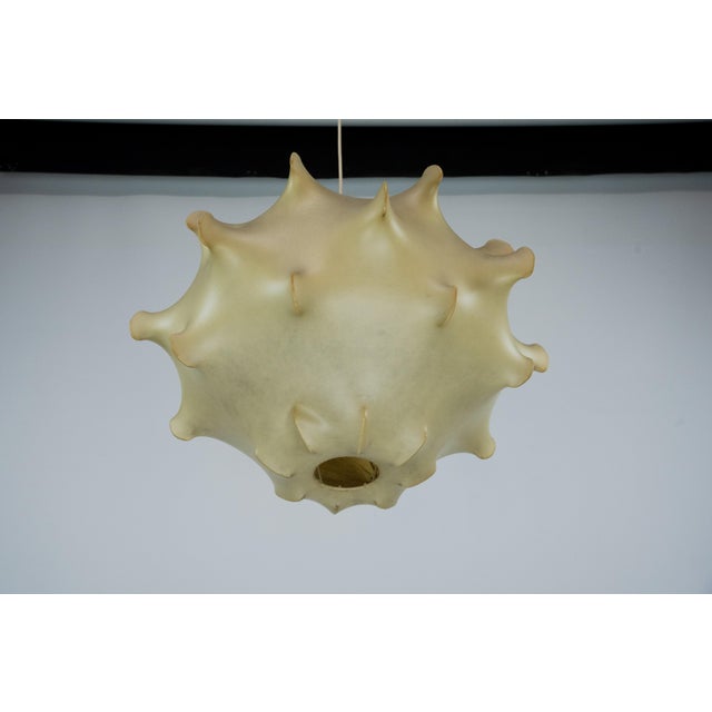 Taraxacum Cocoon Suspension Lamp from Flos, 1960s For Sale - Image 10 of 18