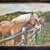 Original approx 12.75 x 16.75 painting on canvas board signed bottom right Overall size with carved wood 19th century...
