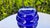 Cobalt Vase by Gunnar Ander for Lindshammar Stålverk, 1950s For Sale - Image 4 of 7