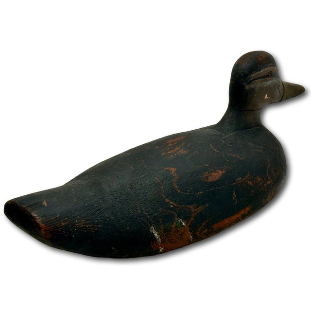 Very Large Size Antique American Carved Wood Hand Painted Duck Hunters Decoy From Downeast Coastal Maine - 21 1/2 Inches Long For Sale - Image 9 of 18