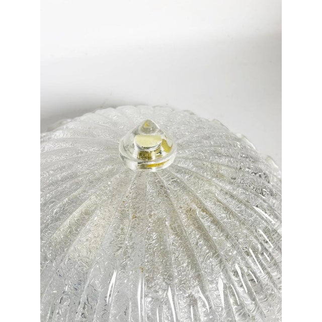 15th Century & Earlier 20th Century Glass Ceiling Light Fixture, France For Sale - Image 5 of 15