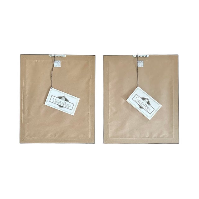 Ebony Pair of Chelsea House French Ornithological Bird Prints Featuring a Wood Grouse & a Blue & Yellow Macaw, in Ebony Frames With Brass Butterfly Corners For Sale - Image 8 of 10