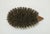 Brown Mid 20th Century Modern Teak Wood Hedgehog Brush For Sale - Image 8 of 11