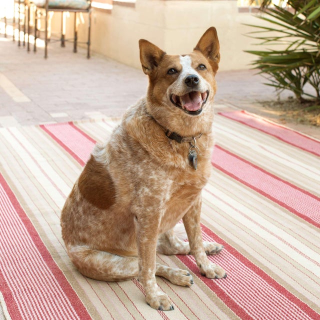 Our woven cotton area rugs are so adaptable they make themselves at home in any room. Constructed using a hand loomed flat...