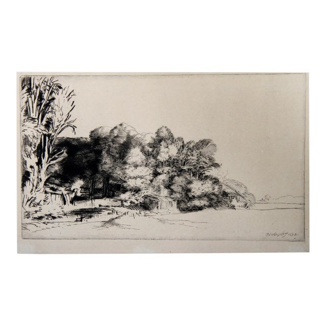 Le Bouquet De Bois (B222), Rembrandt (After Rembrandt), Heliogravure For Sale