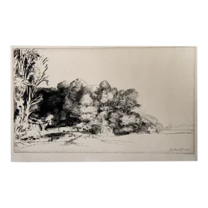Le Bouquet De Bois (B222), Rembrandt (After Rembrandt), Heliogravure