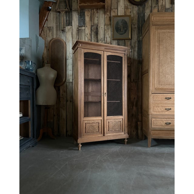 Antique Library with Wire Mesh Doors, 1890s For Sale - Image 9 of 16