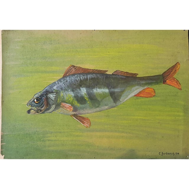 Carl H. Berberich, Swimming Perch in Green Water, 1916, Oil Painting on Canvas For Sale - Image 11 of 11