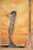 Early 20th Century Art Deco Sensual Watercolor by Eduard Chimot Custom Framed Framed, 1920's For Sale - Image 5 of 11