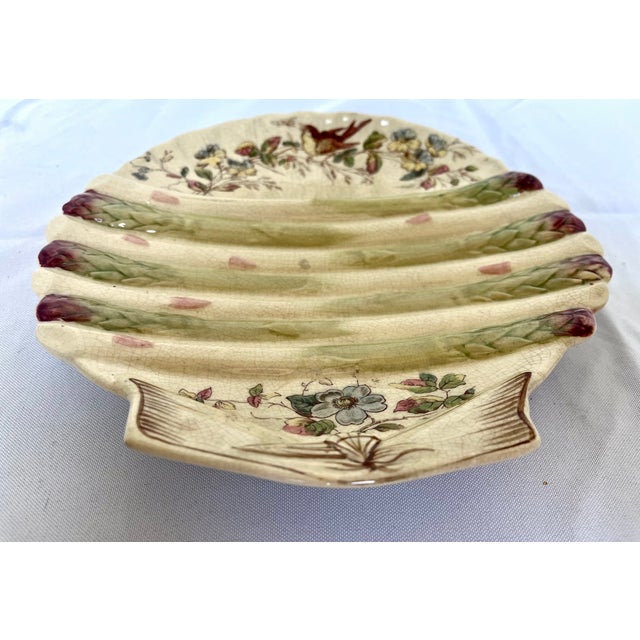 Antique shell shaped asparagus plate. Produced in the late 19th century in Stoke-on-Trent England by William Alsager...