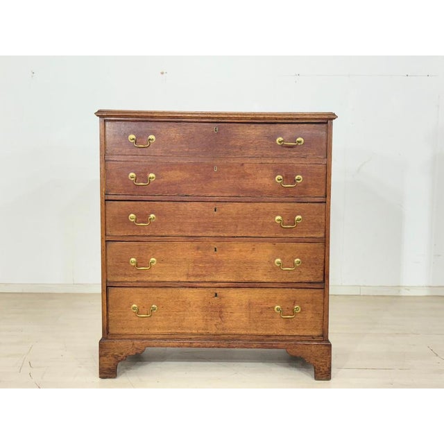 Mahogany Chest of Drawers, 1900 For Sale - Image 10 of 15