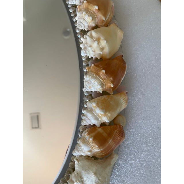 Fabulous Sea Conch Shell Encrusted Oval Mirror Tony Doucquett Style For Sale - Image 4 of 6