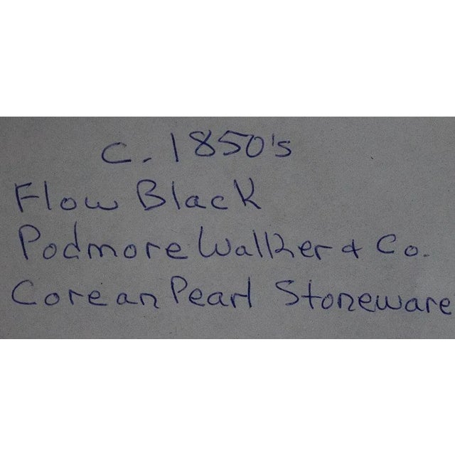 Podmore Walker Mulberry Tea Cups - Handleless = Set of 6 For Sale In Las Vegas - Image 6 of 8