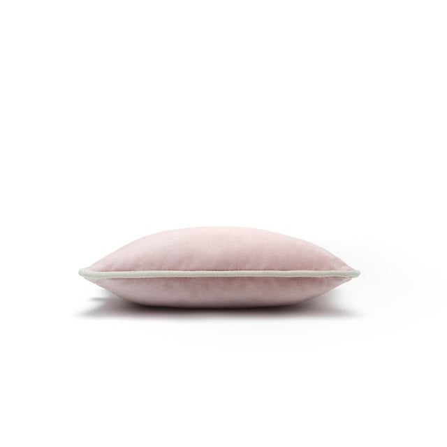 The Gift Micro Cushion in Light Pink Velvet with White Piping by Lorenza Briola for Lo Decor For Sale - Image 4 of 7