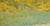 California Golden Poppies and Blue Oaks - Rural Landscape in Watercolor on Paper by Marie English Williams For Sale - Image 4 of 10