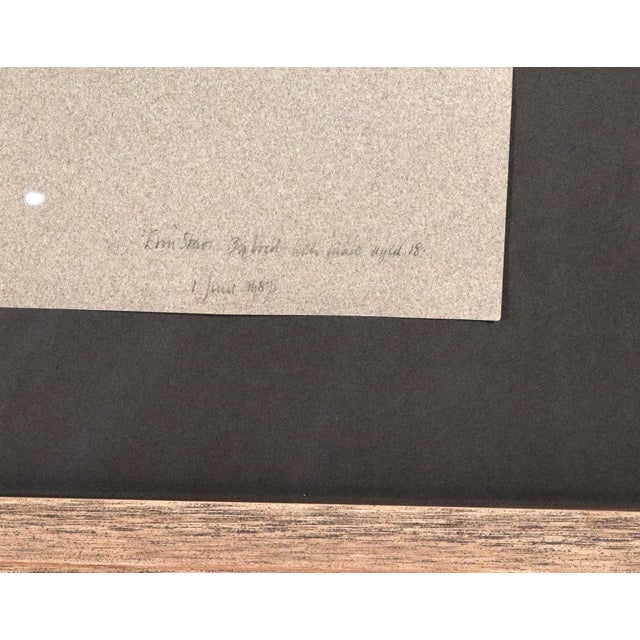 1980s Horse Pastel Painting by Leslie Charlotte Benenson of Erin Star. 3/4 Bred Irish Mare Aged 18. / 1 June 1985 For Sale - Image 5 of 6